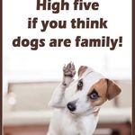 Tracy Wagoner - @wagontracy66 - Instagram