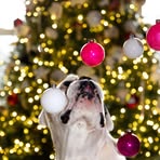 Tracy Walker - Facebook