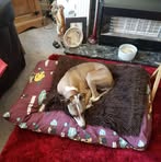 Tracy Walker - Facebook
