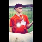 Trace Walling - @trace_walling - Instagram