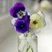 Tracey Walling - Facebook