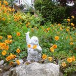 Tracy Martin Walling - @chalet8097 - Instagram