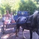 Tracy Walls - @walls2745 - Instagram
