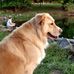 Tracey Walpole Hannah - Facebook