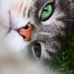 Tracy Walpole - Facebook