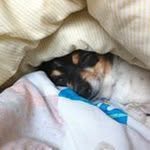 Tracy Walter - @tracywalter6566 - Instagram