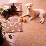 Tracy Wanderley - @tracywanderley - Instagram