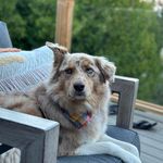 Tracy Coulter Wareham - @tracylynnwareham - Instagram