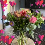 Traci Warwick - @cntreegrl - Instagram