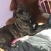 Tracy Warwick - Facebook