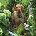 Tracy Watkins - @tracy.watkins.7355 - Instagram