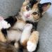 Tracy Webber - Facebook