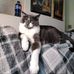 Tracy Webber - Facebook