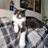 Tracy Webber - @tracy.webber2 - TikTok