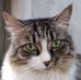 Tracey Weiland - Facebook
