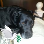 Tracy Weiland - Facebook