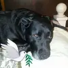 tracyweiland169 - @tracyweiland169 - TikTok