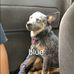 Tracy Weimer - Facebook