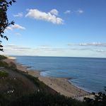 Tracy Weiner - @zoomumma - Instagram