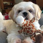Tracy Weldon - @maxamillionmalt - Instagram