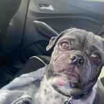 Tracy Weller - @tracybabs73 - Instagram
