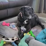Tracy Wentz - @wentz2705 - Instagram