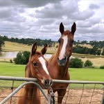 Tracey Whitehurst - @traceyjw27 - Instagram
