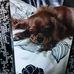 Tracy Wickham - Facebook