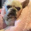 tracywickhamgray - @tracywickhamgray - TikTok