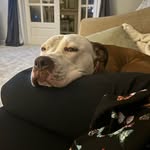Tracy - @tracy.wilding2024 - Instagram