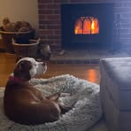 Tracy Wilding - Facebook