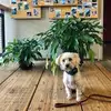 Tracy Winn - @tracy.winn - TikTok