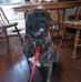 Tracey Wines Anderson - Facebook