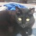 Tracey A. Wingfield - Facebook