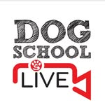 Tracy winterton - @dogschoollive - Instagram