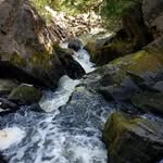 Tracy Wirth-Schultz - @tracy.schultz.130 - Instagram