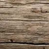 Tracy Witt - @tracy.witt4 - TikTok