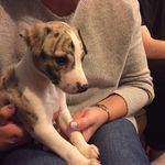 Tracy Witterick - @tracywitterick - Instagram