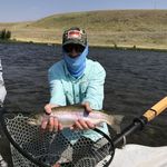 Tracy Wolfe - @twolfeaustin - Instagram