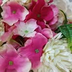 Tracy Wolfe - Facebook