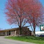 Tracy Wolfe - @animalmedicalclinic_dsm - Instagram