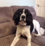 Tracy Wolfe - Facebook
