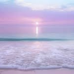 @tracyworley - Instagram