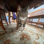 Tracy Wrenn - @tlwrenn56 - Instagram