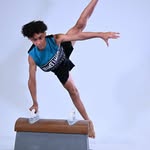 Trae Edwards - @trae_gymnast01 - Instagram
