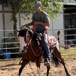 Trae Still - Horseman & Entrepreneur - @traestillhorsemanship - Instagram
