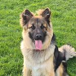 Traian Popa - @traianpopa78 - Instagram