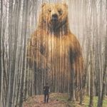 Traian Popescu - @traian_popescu - Instagram