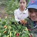 Trần Ton - Facebook