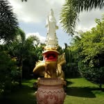 Tran Vuu - @tran.vuu - Instagram